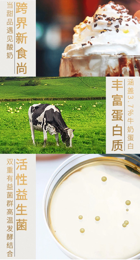 好享閑”甜品時刻,享受酸奶新風尚 好享閑”甜品時刻,享受酸奶新風尚