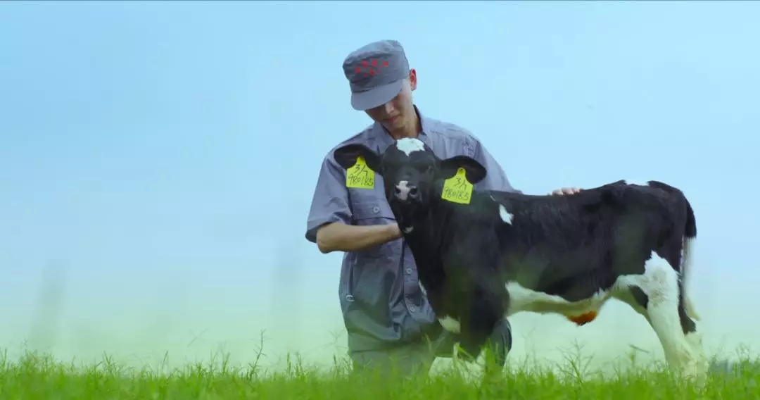 喜報(bào) | 國家市場(chǎng)監(jiān)管總局抽檢，花花牛等112家企業(yè)乳品抽檢全部合格