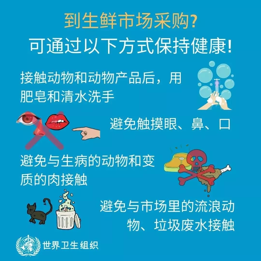 花花牛 | 共克時(shí)艱、遏制疫情，請(qǐng)相信國(guó)家力量！
